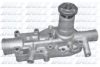 DOLZ R126 Water Pump